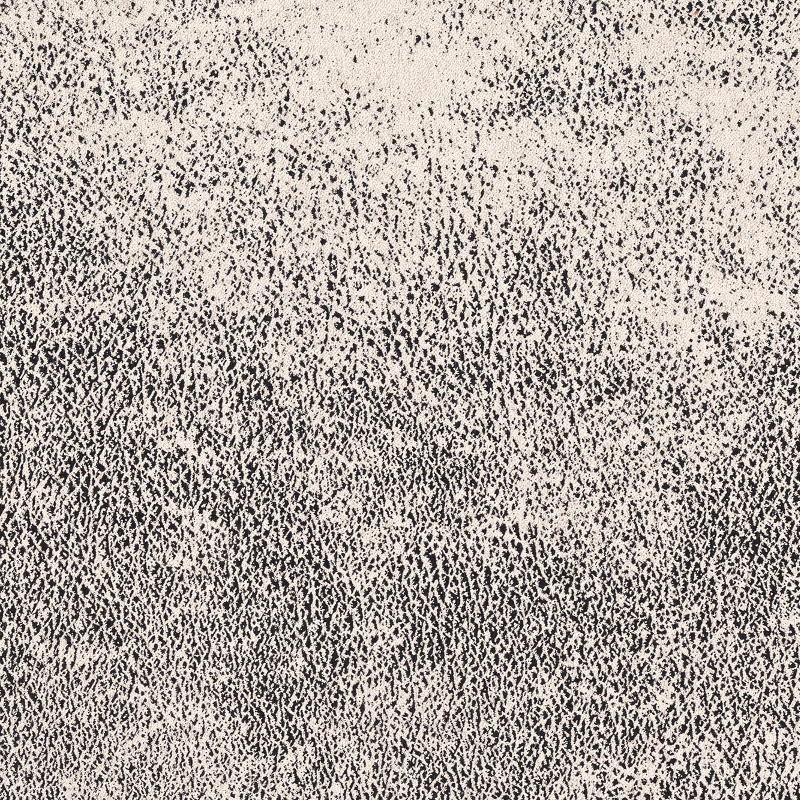 gobi 11