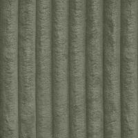 TILIA - Tilia 37